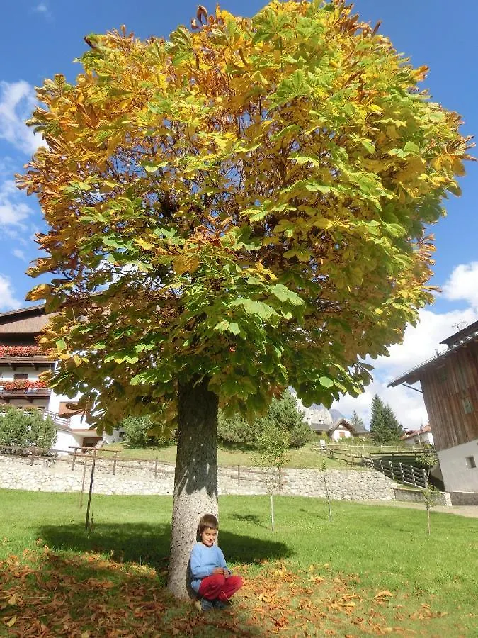 Partel Loudge Apartment Cortina d'Ampezzo Italy