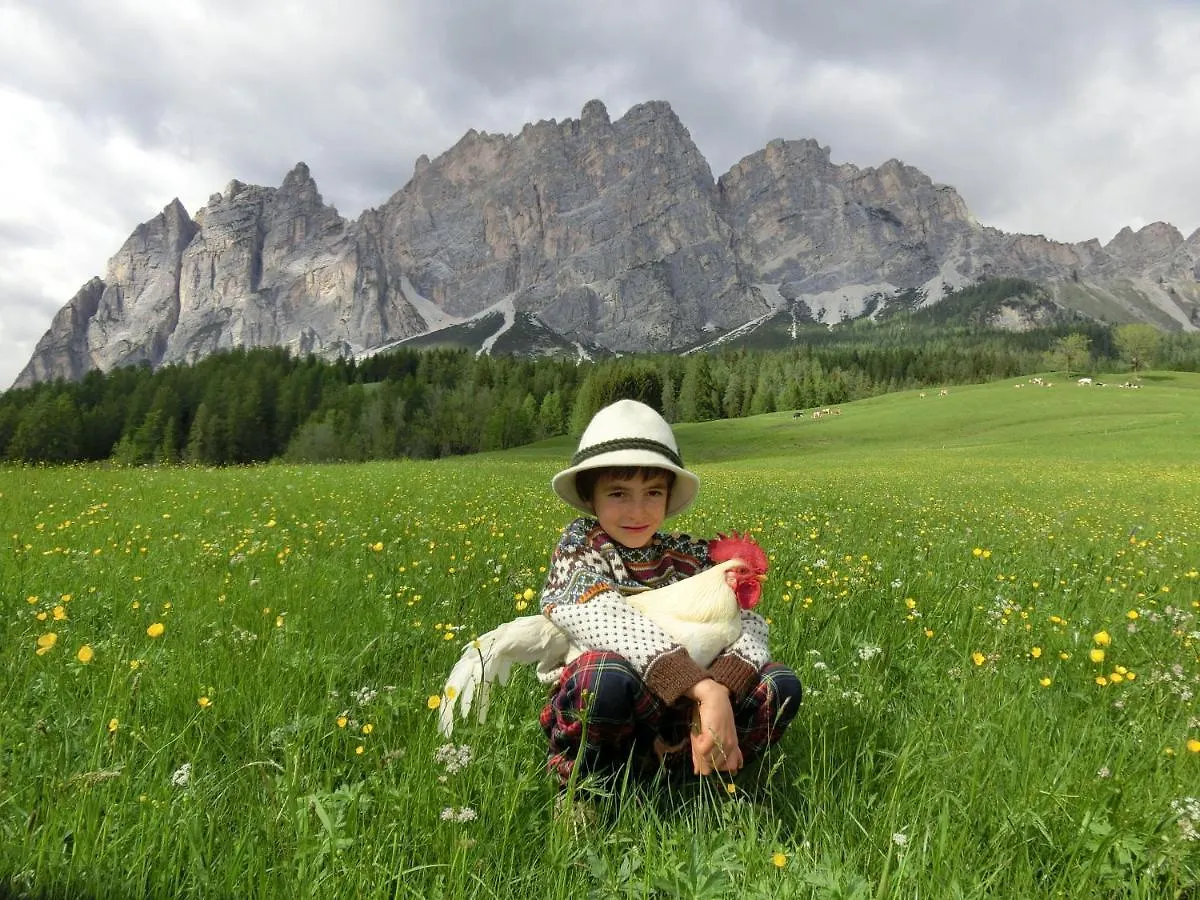 Partel Loudge Apartment Cortina d'Ampezzo